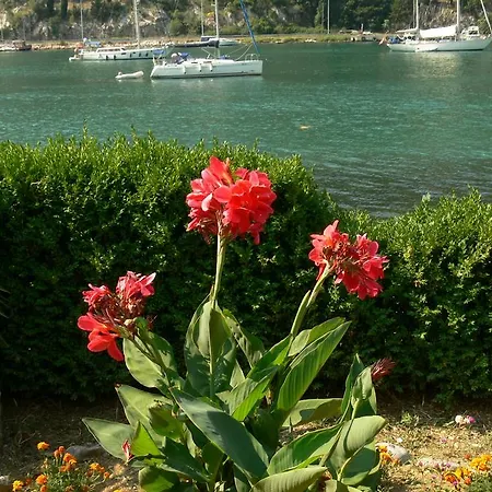 Апартаменты Ombla *